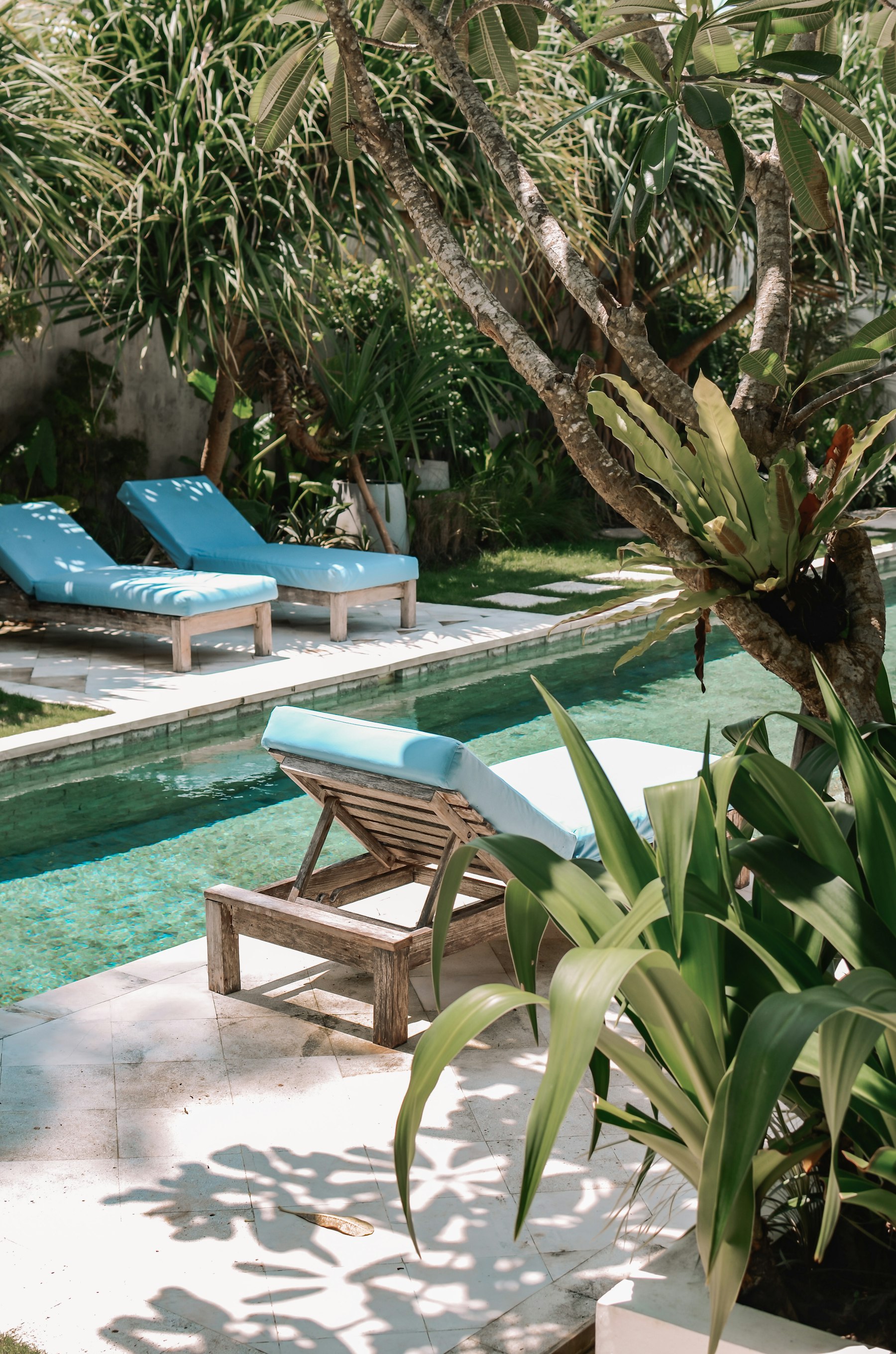 Chaise loungers beside a landscaped pool with tropical planting